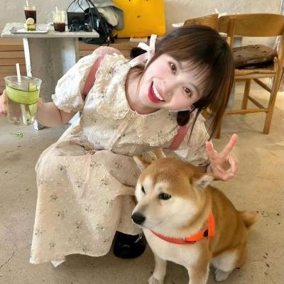谎言×谎言